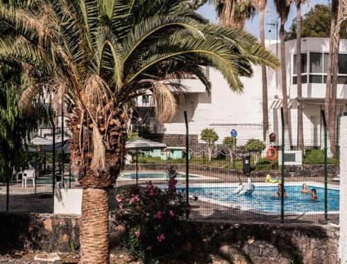 Apartamento Remanso De Tranquilidad