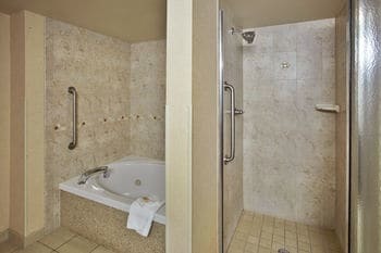 Holiday Inn Hotel  Suites Ann Arbor Univ. Mic