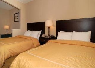 Hotel Comfort Suites Las Colinas Center
