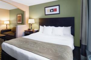 Hotel Comfort Suites Las Colinas Center