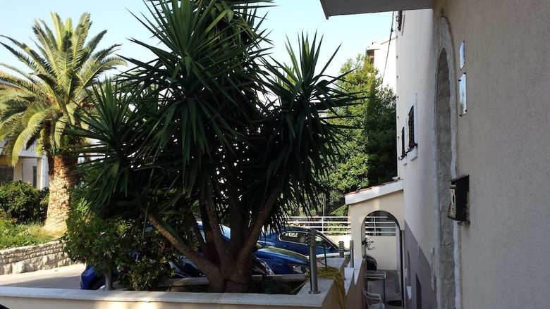 Matic Apartments