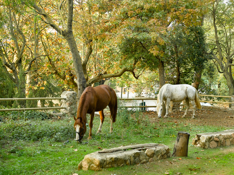 Hotel Rural Y Apartamentos Sercotel Villa Engracia