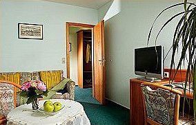 Kurpark-hotel Im Ilsetal