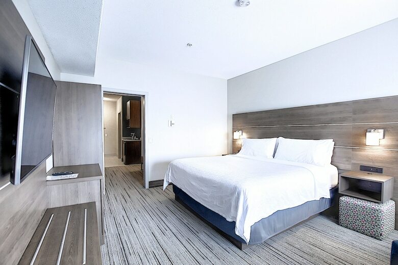Hotel Holiday Inn Express Airport-calgary