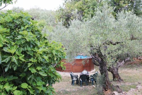 Yurta Mongola Delta Del Ebro