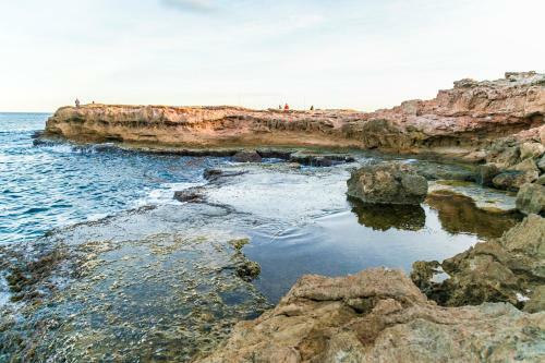 Homely Apartments Playa De Los Locos