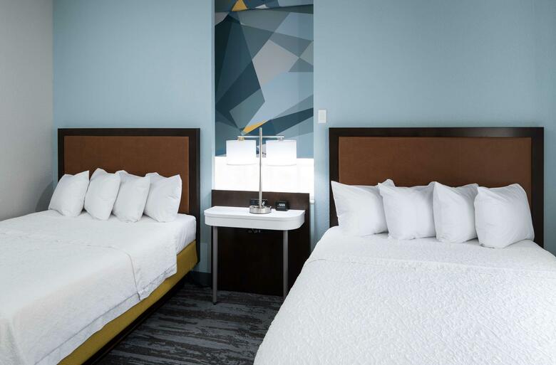 Hotel Hampton Inn & Suites Atlanta-downtown