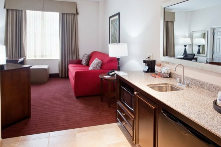 Hotel Hampton Inn & Suites Atlanta-downtown