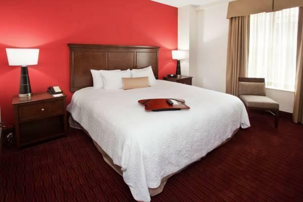 Hotel Hampton Inn & Suites Atlanta-downtown