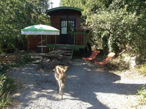 Lodge Suite Nid D'amour Et Spa Privatif