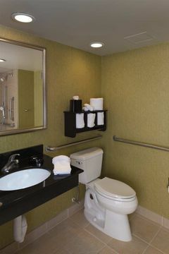 Hotel Hampton Inn Asheville-tunnel Road