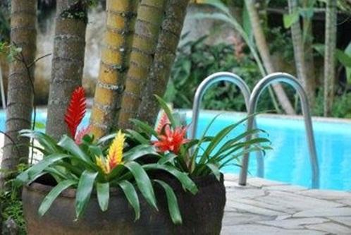 Posada Eliconial Paraty Pousada