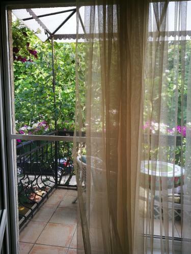 Residencia Hotel Paradise