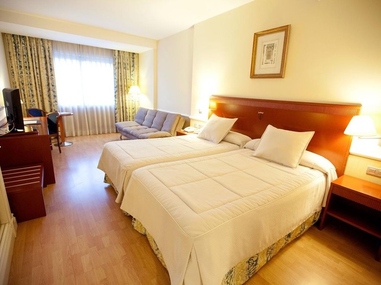 Hotel Alfonso Viii