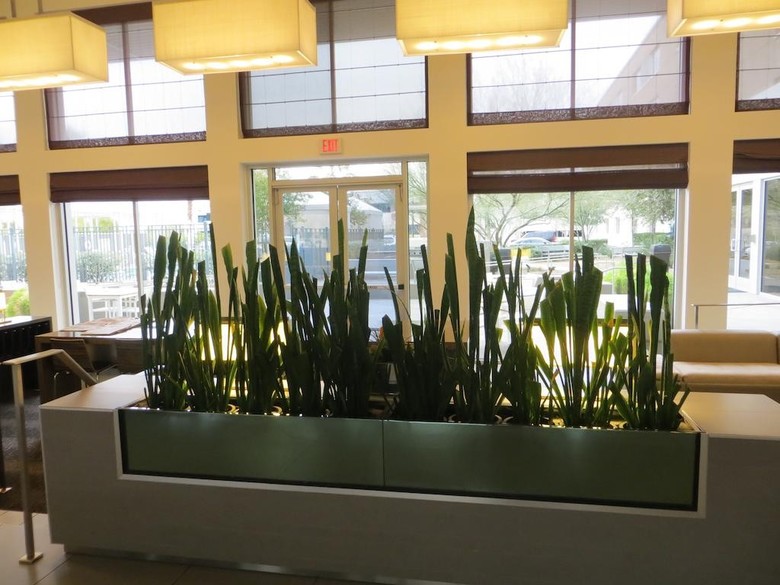 Hotel Element By Westin Las Vegas Summerlin
