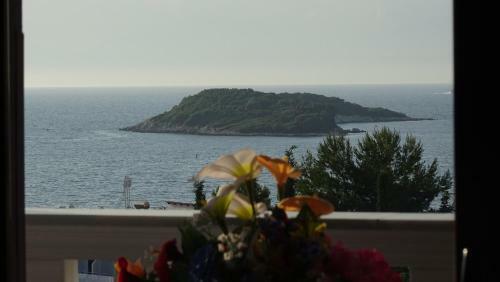 Hostal Mondi's Guest House