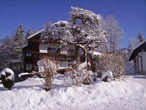 Apartamento Ferienwohnungen Vogelrast