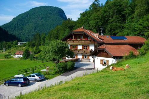 Apartamento Ferienwohnungen Vogelrast