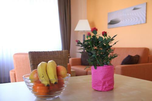 Apartment Schmidt Haus H�hnergott
