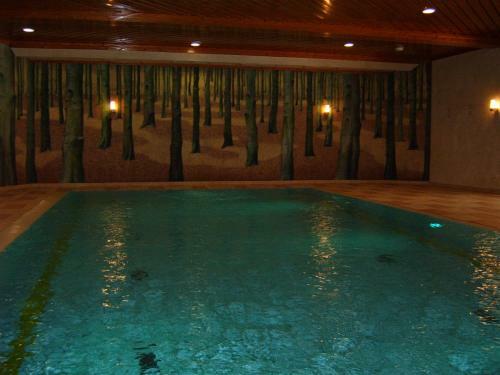 Aparthotel Hapimag Resort Braunlage