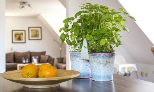 Apartamento Ferienwohnungen Amrumbank
