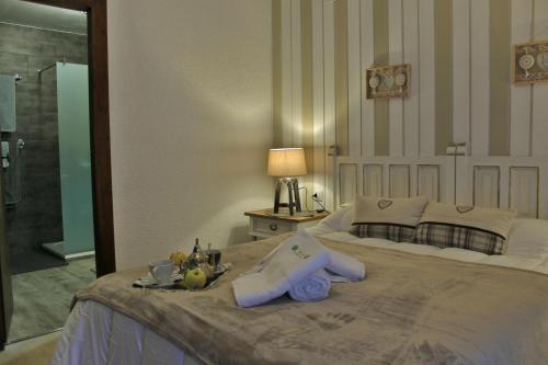 Chalet Amp Grup Montagne Pedrosa