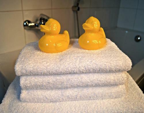 Apartamentos Winterberg Appartement 21079