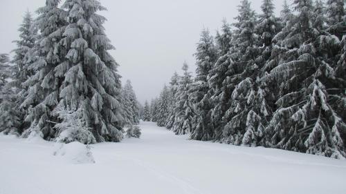Hostal Gasthof-stadel