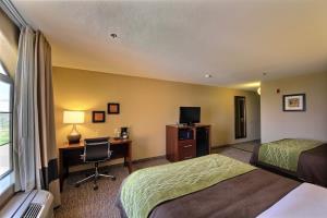 Hotel Comfort Inn Pharr