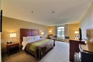 Hotel Comfort Inn Pharr