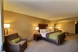 Hotel Comfort Inn Pharr