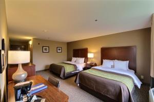 Hotel Comfort Inn Pharr