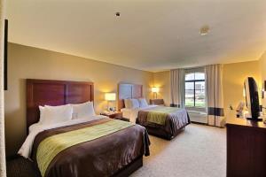 Hotel Comfort Inn Pharr