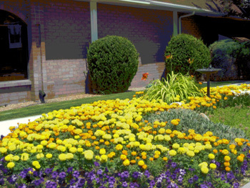 Hotel Best Western Cotton Tree Inn