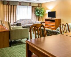 Hotel Holiday Inn Southfield