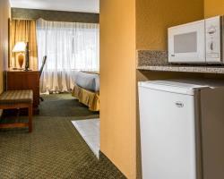 Hotel Holiday Inn Southfield
