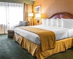 Hotel Holiday Inn Southfield