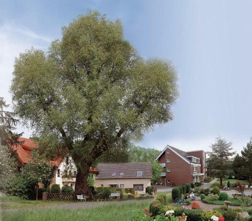 Hostal Hotel-pension Haus Holtdirk
