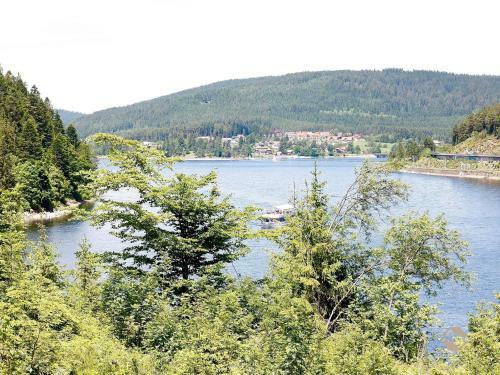 Apartamento Domicil Schluchsee