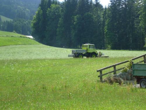 Apartamento Ferienwohnungen Hollweger