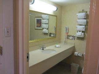 Hotel Holiday Inn Civic Center