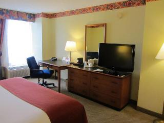 Hotel Holiday Inn Civic Center