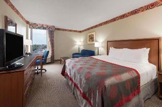 Hotel Holiday Inn Civic Center