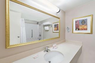 Hotel Holiday Inn Civic Center