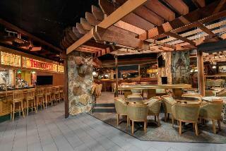 Hotel Holiday Inn Civic Center