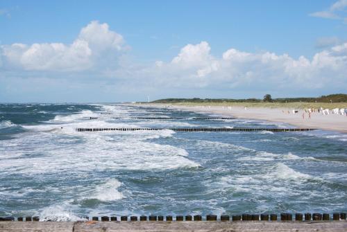 Apartamento Ferienwohnung Zingst - Am Museumshof