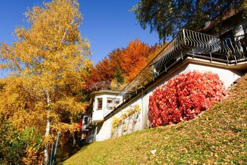 Apartamento Caf� Pension Waldfrieden