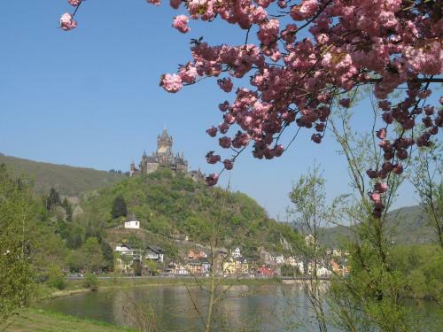 Apartamento Haus Mosel-oase