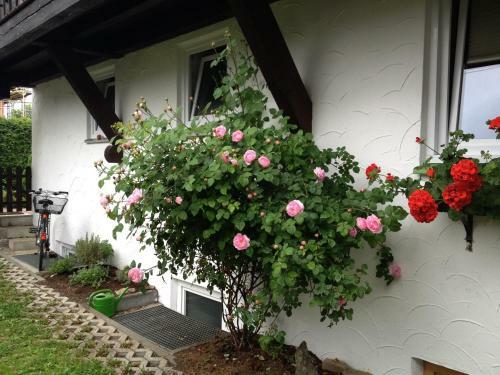 Apartamento G�stehaus Hilbrand