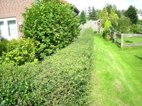 Ferienvermietung Becker Carolinensiel